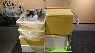 1906191.jpg